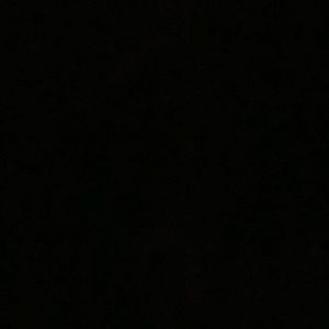 Meet your Posher, Dontedric